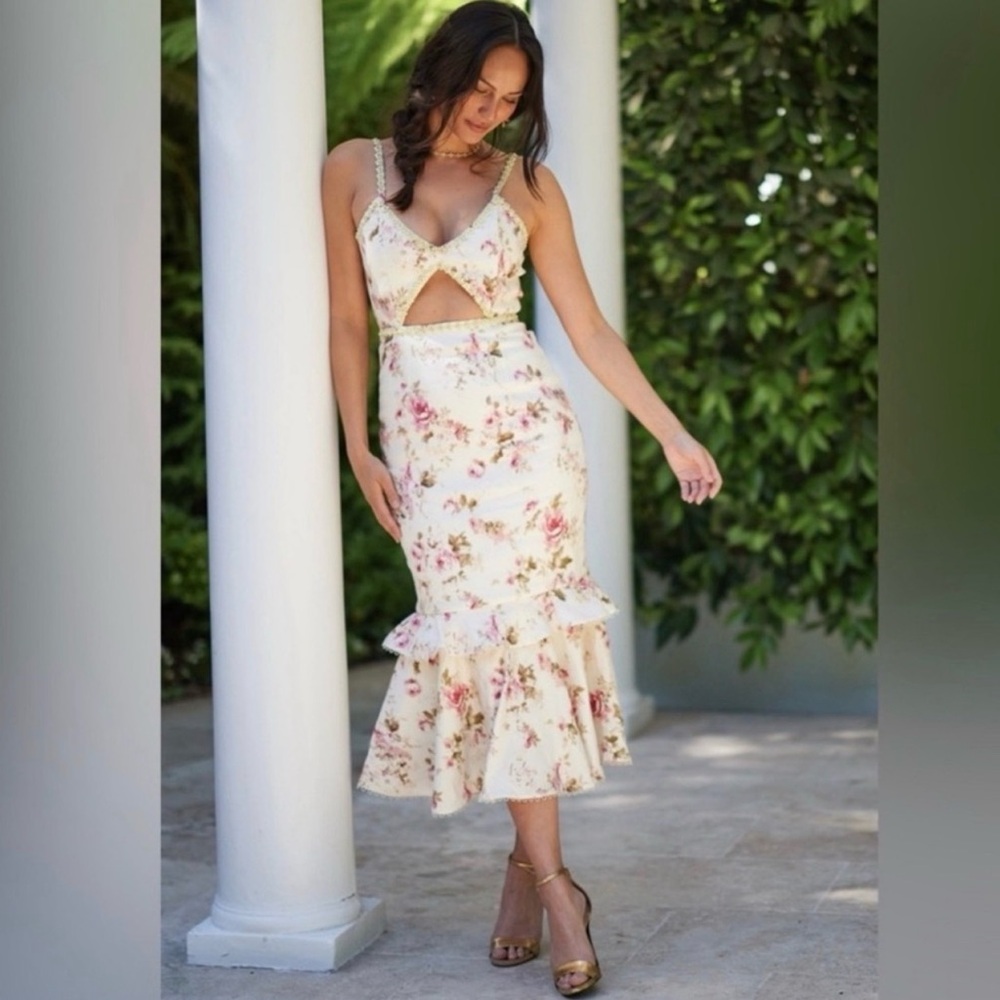 NWT V. Chapman Luna Linen Blend Midi Dress in English Rose Size 8 crystals - Picture 2 of 11